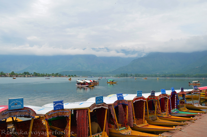 Shikara Dal Lake