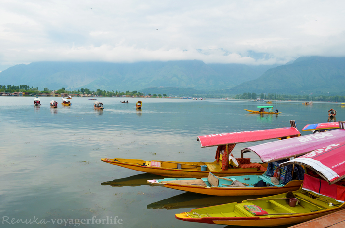 Dal Lake shikara