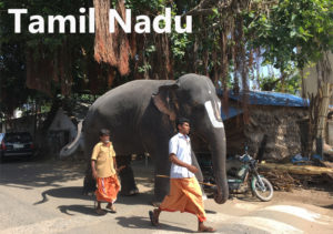 Travel blogs on Tamil Nadu