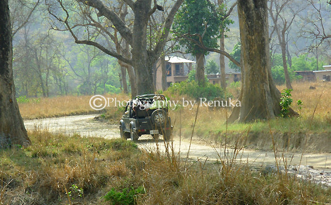 Jim Corbett National Park – On Safari