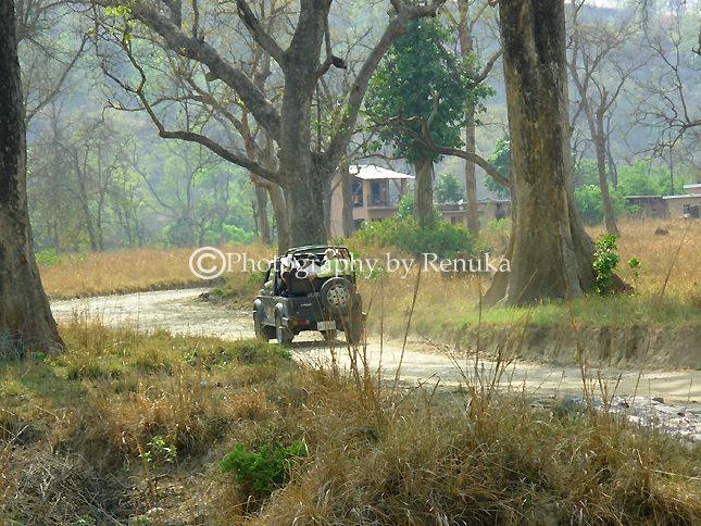 Jim Corbett National Park – On Safari