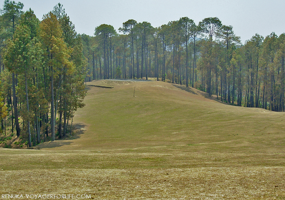 IMG-Should you visit Ranikhet in summer