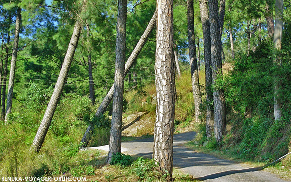 Hilly trails of North India