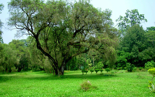 Dehradun – Is Green Turning Into Gray?