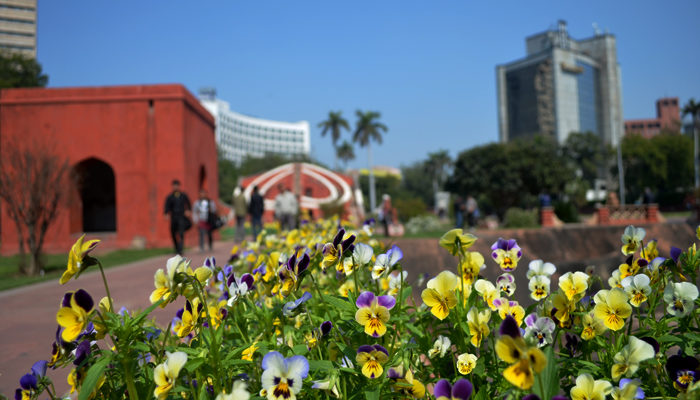 Jaunting Down The Jantar Mantar Road, New Delhi