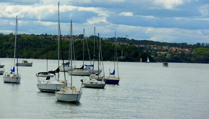 Sydney Ferries – In Pictures