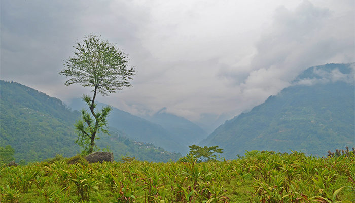 10 Highlights Of My Journey Through Sikkim