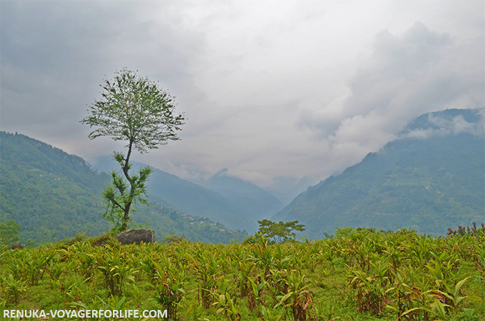 10 Highlights Of My Journey Through Sikkim