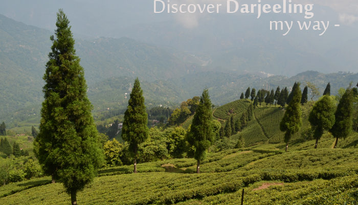 That’s How I Discovered Darjeeling