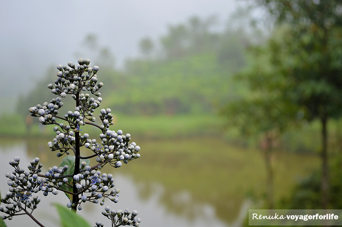 The ‘Secret’ Lake