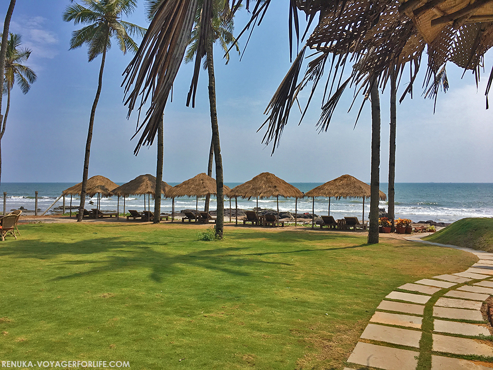 Morjim Beach North Goa