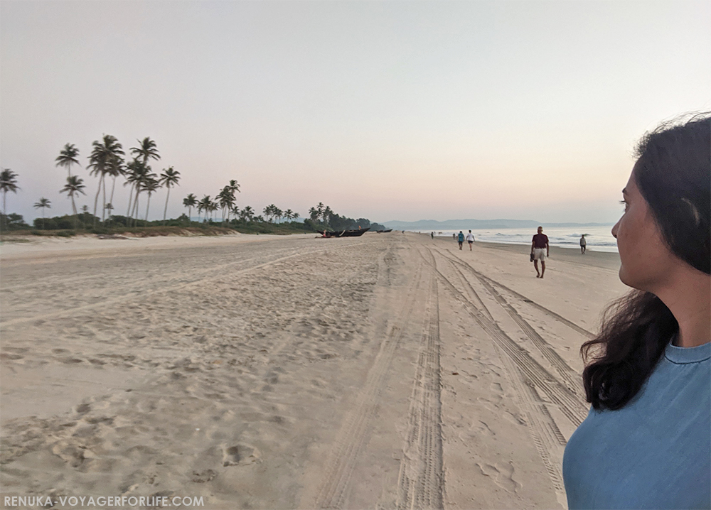 Beaches In Goa – Which Ones To Visit?