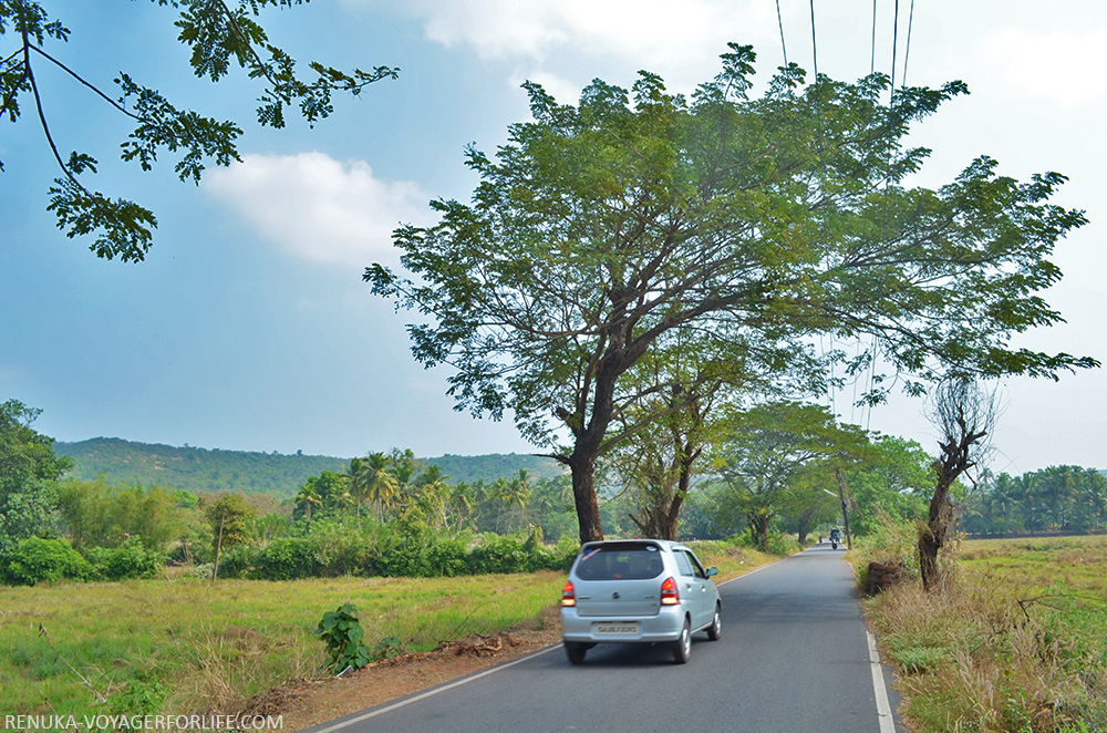 South Goa roads