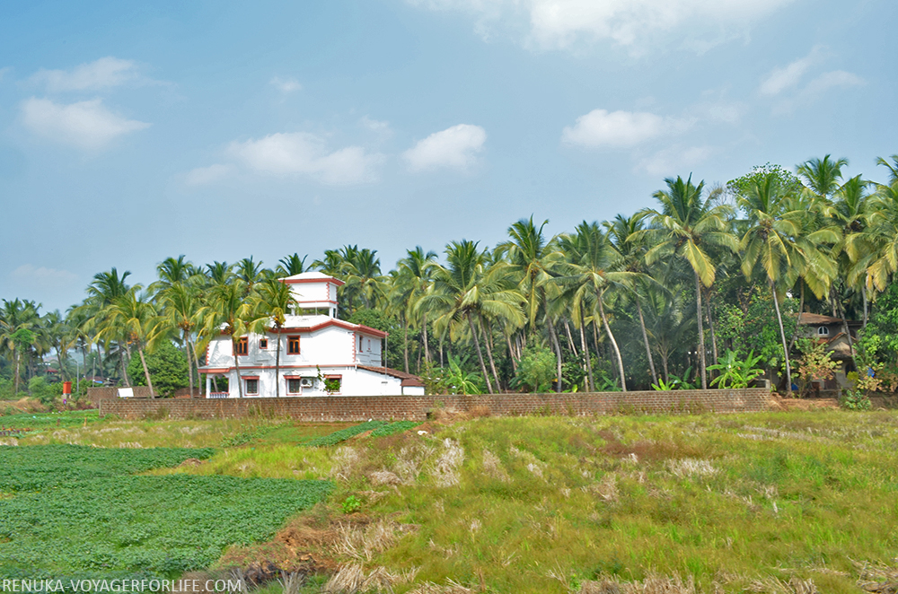 South Goa rural landscapes