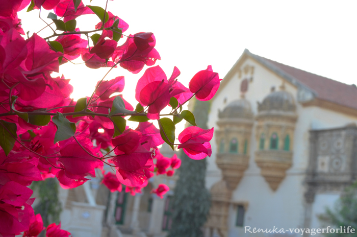 Savour Kutch Quintessentially At Devpur Homestay