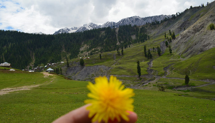 The Unsung Valleys Of Kashmir