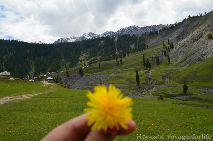 The Unsung Valleys Of Kashmir