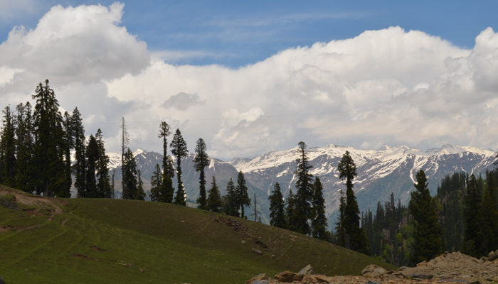 5 Reasons Northern Kashmir Is Calling You!