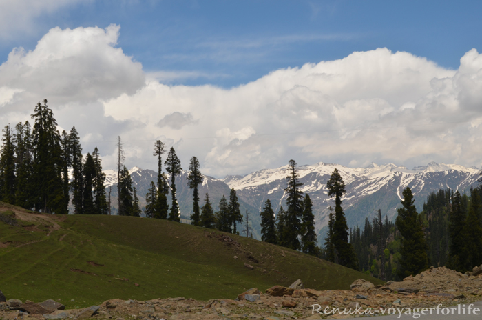 5 Reasons Northern Kashmir Is Calling You!
