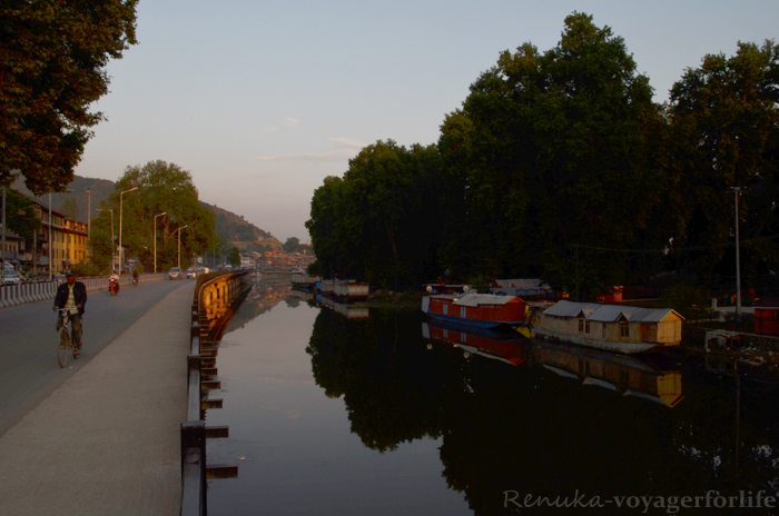 It’s Easy To Fall In Love With Srinagar!