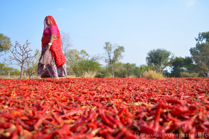 Pali – A Peaceful Jewel Of Rajasthan