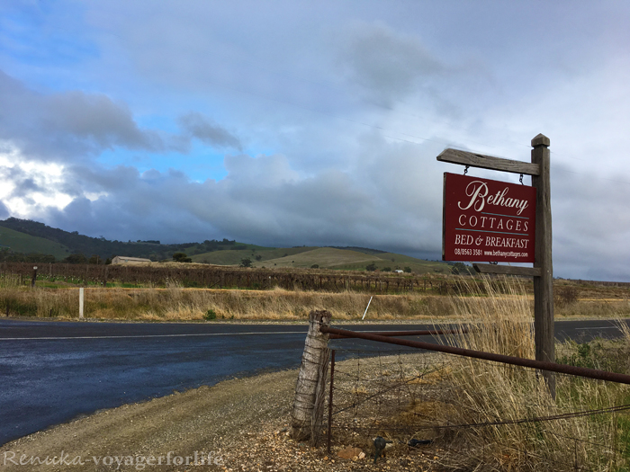 My Solo Adventure In South Australia – BAROSSA VALLEY