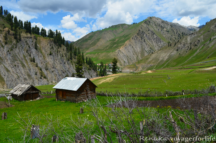 Kashmir