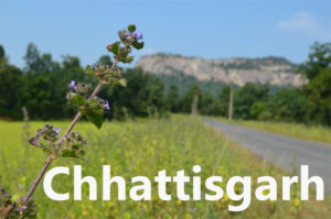 Travel blogs on Chhattisgarh