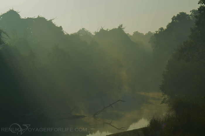 Landscapes of Dudhwa National Park