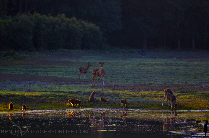 National parks of India