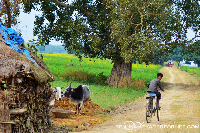 Villages of North India