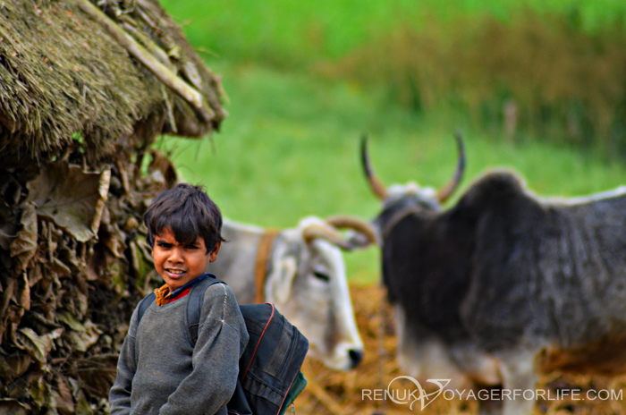 Village boy in Uttar Pradesh India