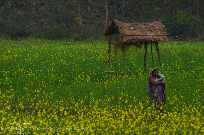 Mother and child in a mustard field in a village in India