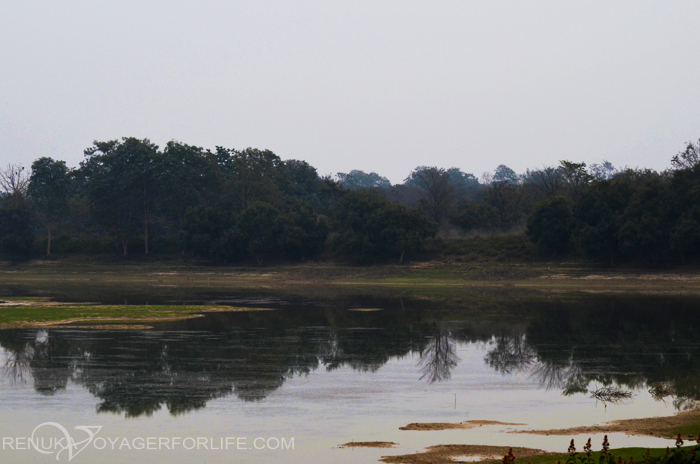 Landscapes of Suhelwa