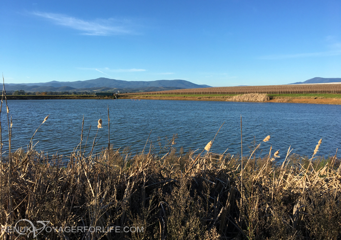 Yarra valley Victoria during winters