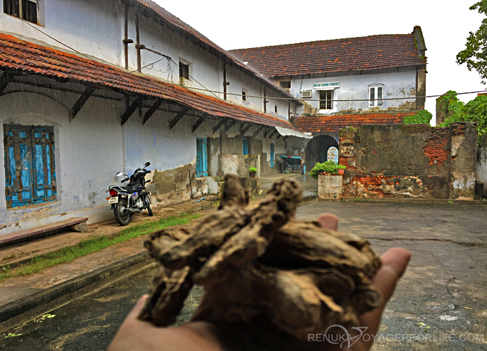 Dry ginger factory in Jew Town Kochi