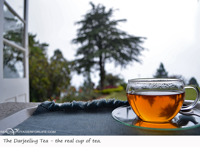 Darjeeling tea estates