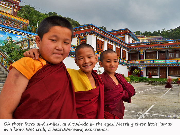 Young lamas of Sikkim