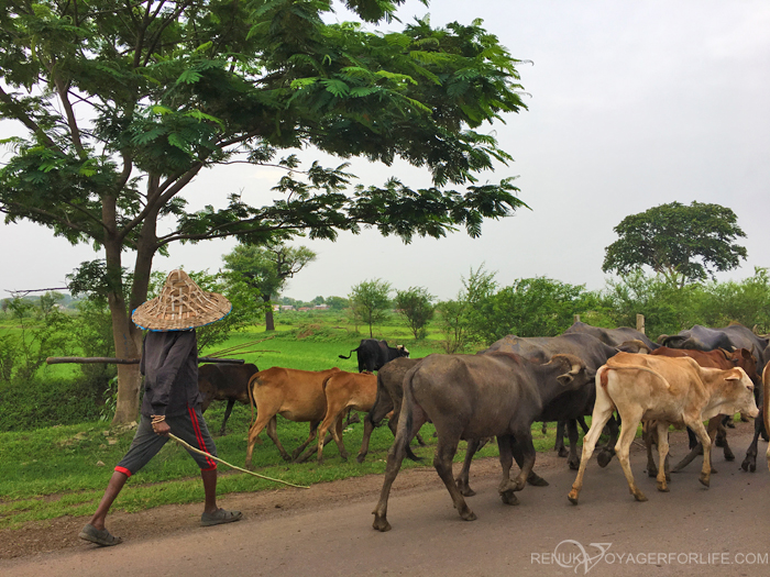 IMG-Countryside of Chhattisgarh