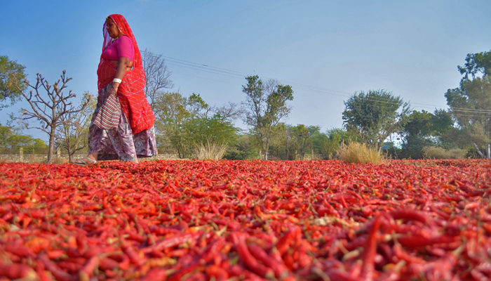 The Women Of India (Beyond The Cities) – A Photo Essay