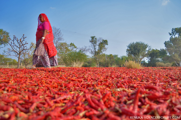 The Women Of India (Beyond The Cities) – A Photo Essay