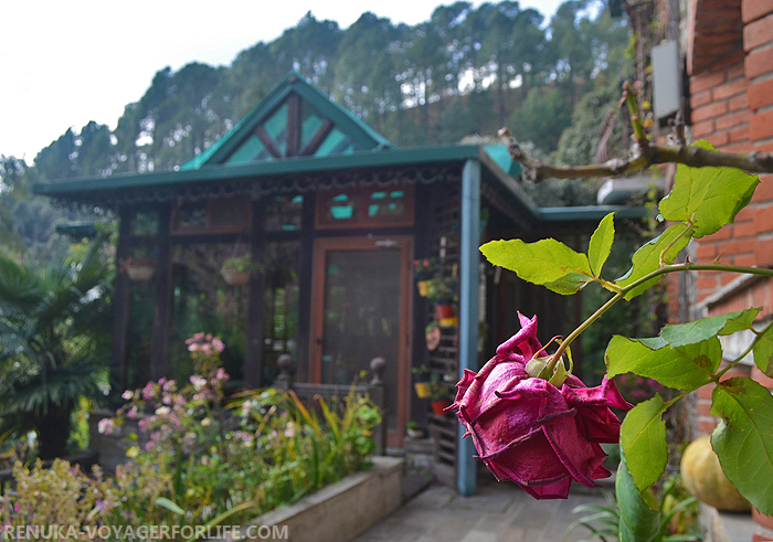 IMG-Boutique homestays in India