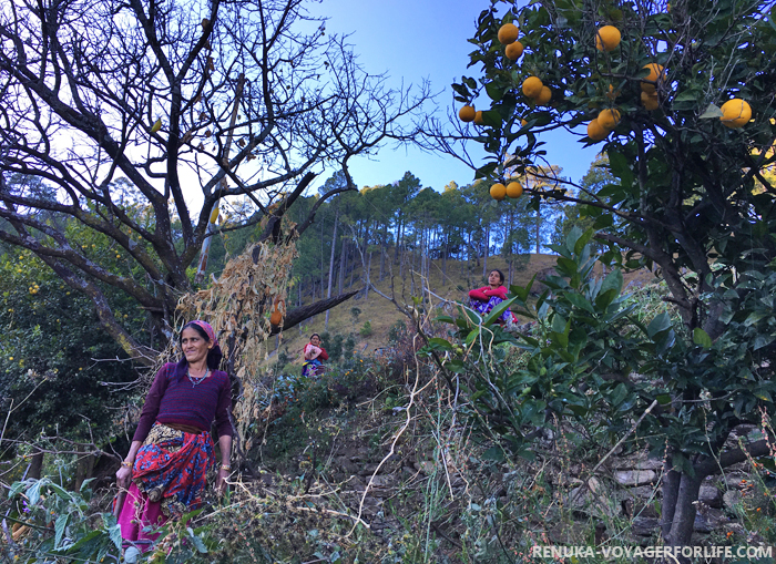 IMG-Gaunap village Binsar