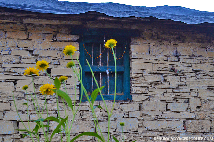 IMG-Kumaon flowers