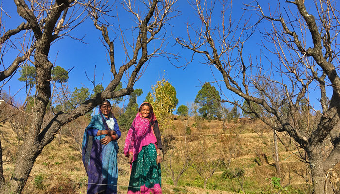 The Colours Of Kumaon – In Photos