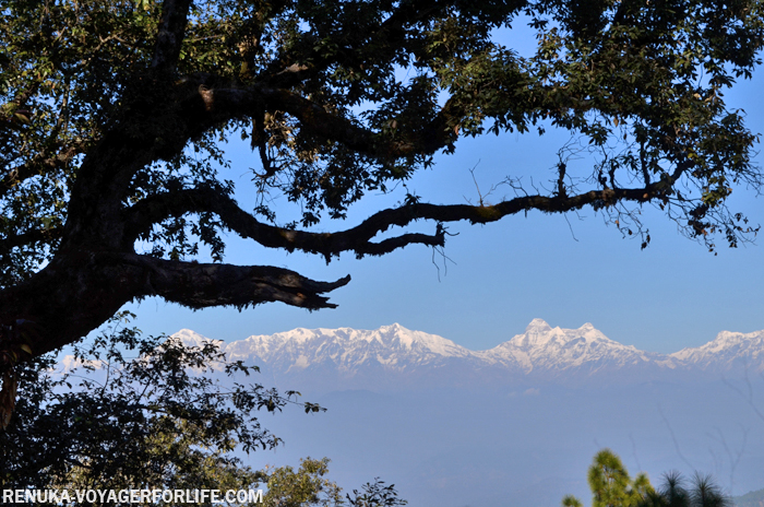 IMG-Binsar is one of the best places to view the Himalayas