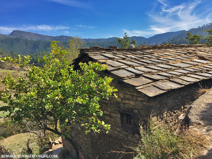 IMG-Chhani village in Almora district