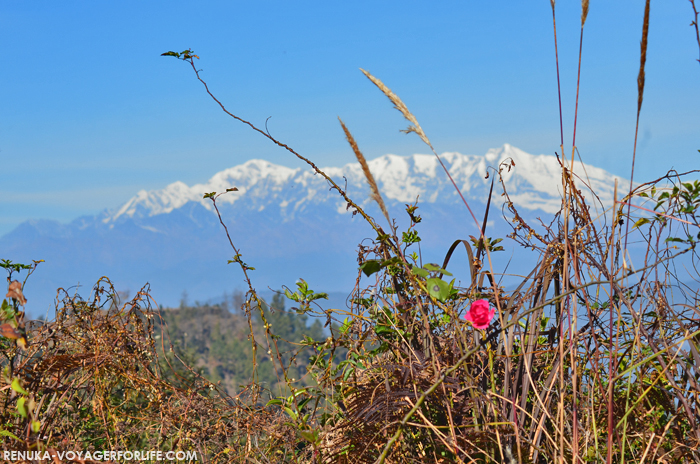 IMG-Hotels with best views of the Himalayas