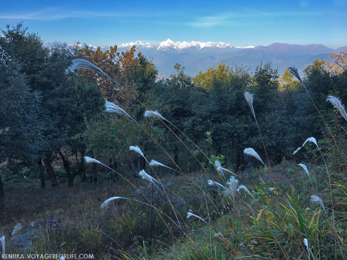 IMG-Most beautiful mountain views in North India