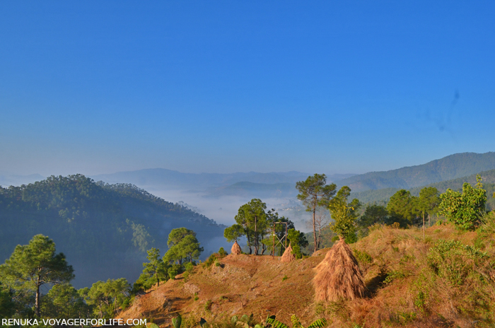 IMG-Palyun Maychak Almora hills